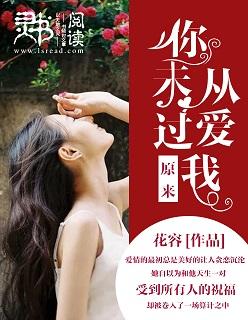 原来你从没有爱过我免费阅读