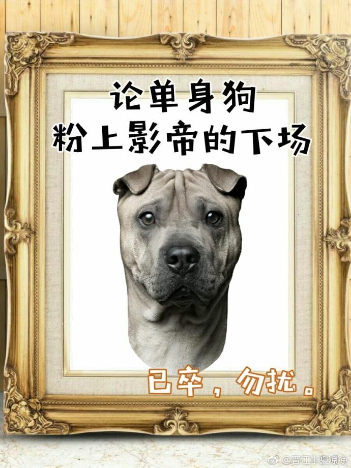 影帝酷爱撒糖无盗章