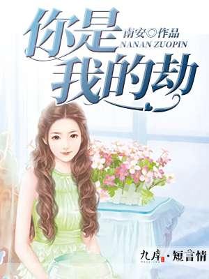 你是我的劫歌词