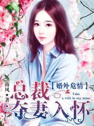 婚外情总裁文