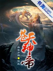 苍天神帝 苏辰