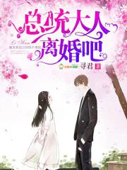 总统大人离婚吧 第508章