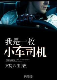 音乐我是小司机