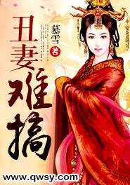 丑妻不打折免费阅读