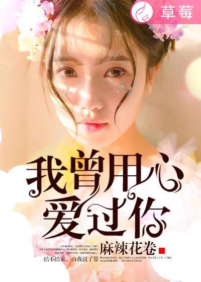 我曾用心爱过你粤语版