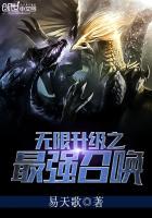 无限升级之最强召唤80