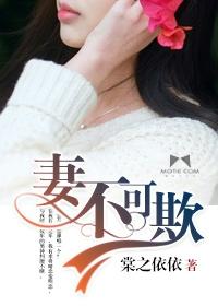 妻不可欺电视剧免费观看