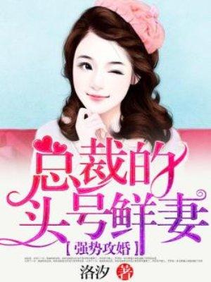 强势总裁受文