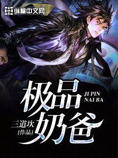 极品奶爸系统林启龙最新章节