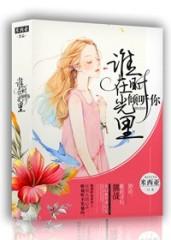 谁在时光里倾听结局