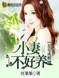 惹爱成婚·染指首席总裁大结局