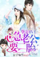 要二胎txt