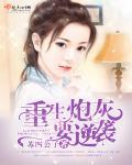 重生炮灰逆袭之路