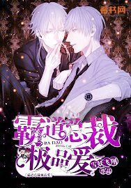 霸道总裁极品爱讲的什么