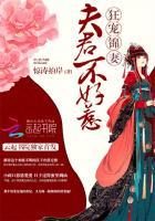 夫君不好惹焱垚
