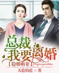 隐婚萌妻老公要离婚