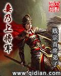妻乃上将军女主有几个
