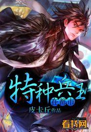 特种兵王在都市叶凡