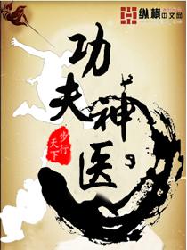 功夫神医图片