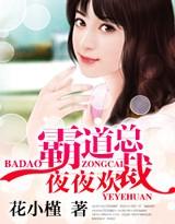 霸道总裁夜夜欢旧版