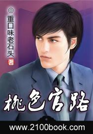 桃色官路丁茹妍柳子衿李霖