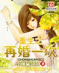 重生之再婚一次相似文