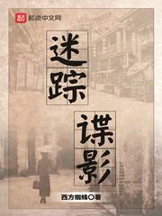 迷踪谍影123