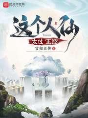 这个人仙太过正经境界