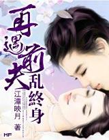 再遇前夫乱终身讲了什么