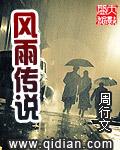 风雨传说战斗系统