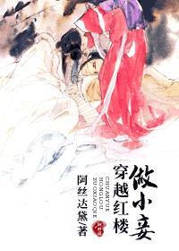 穿越红楼做妃子
