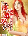 至尊赌神美女全收txt