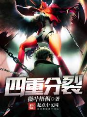 四重分裂评价
