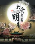 大唐明月6谁家天下