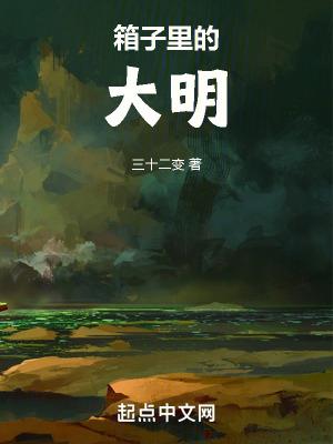 箱子里的大明书评