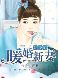 陆少的暖婚新妻有多少章