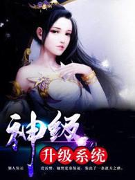 神级升级系统叶云