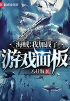 海贼我加载了游戏面板无删减