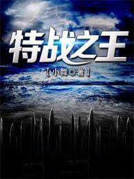 特战之王电视剧免费观看