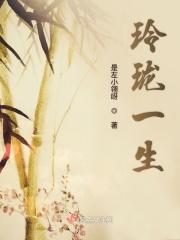 玲珑人生