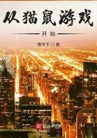 猫鼠游戏学到了什么