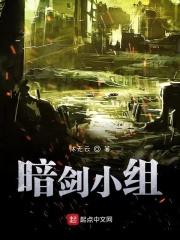 电视剧暗剑