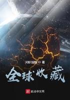 全球收藏TXT奇书网