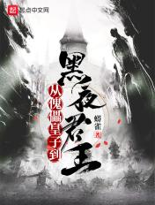 从傀儡皇子到黑夜君王目录
