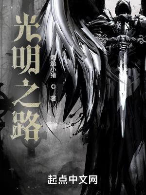 光明之路游戏