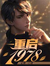 重启1978免费阅读