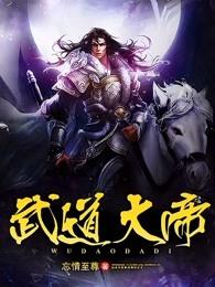武道大帝男主几个老婆