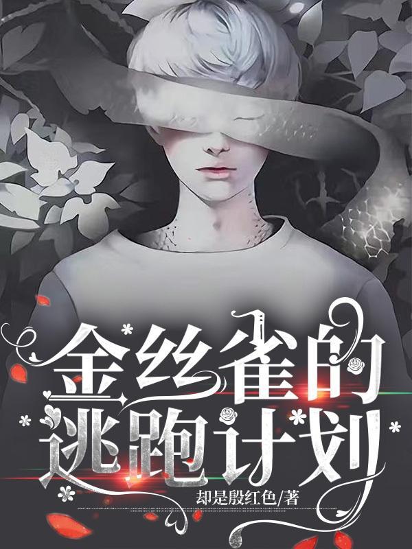 金丝雀牢笼出逃计划