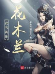 穿越我的老婆是花木兰