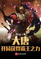 大唐开局获得霸王之力起点